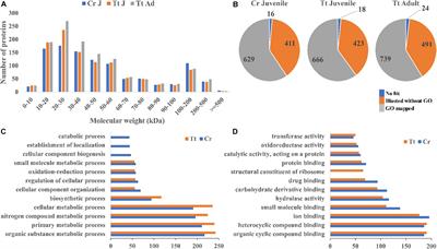 Hemolymph Proteomics and Gut Microbiota of Horseshoe Crabs Tachypleus tridentatus and Carcinoscorpius rotundicauda